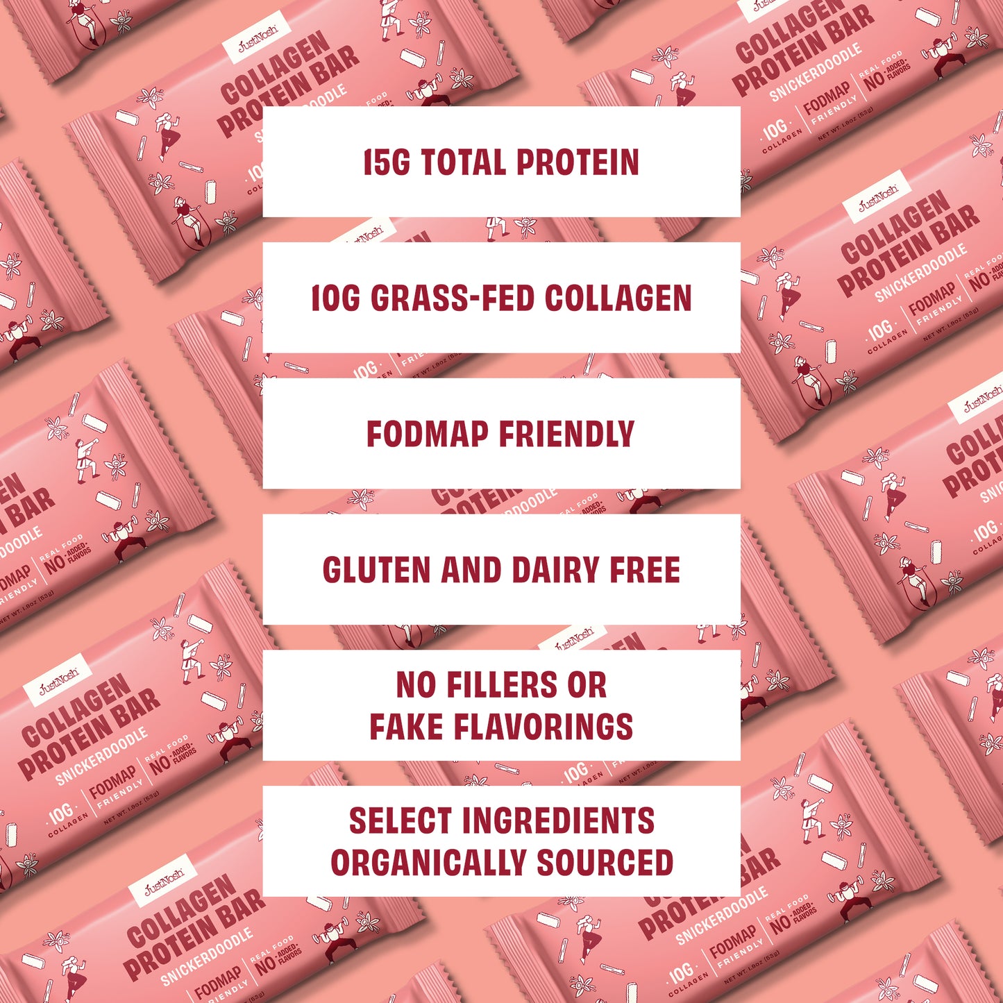 JustNosh Snickerdoodle Collagen Protein Bar – 12 Pack (15g Protein)